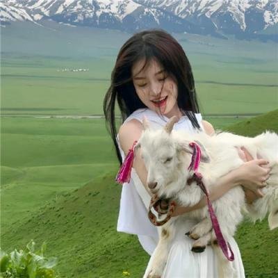 良言难改执拗心